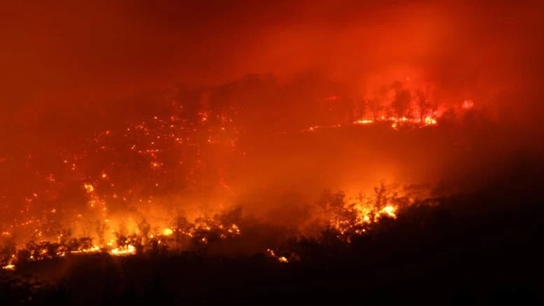 Η ψήφος μας έχει εξουσιοδοτήσει και η αδιαφορία μας έχει επικυρώσει